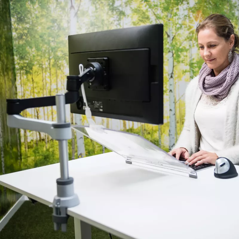 R-Go Tools R-Go Morelia Dokumentenhalter, Modul mit Caparo und Zepher Monitorarm