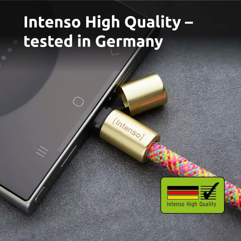 Intenso USB-C Lade-Lanyard Telefon-Halsbandkabel 60 W Schnellladung verstellbare Länge 1,65 m Nylon Mehrfarbig