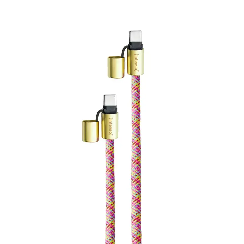 Intenso USB-C Lade-Lanyard Telefon-Halsbandkabel 60 W Schnellladung verstellbare Länge 1,65 m Nylon Mehrfarbig
