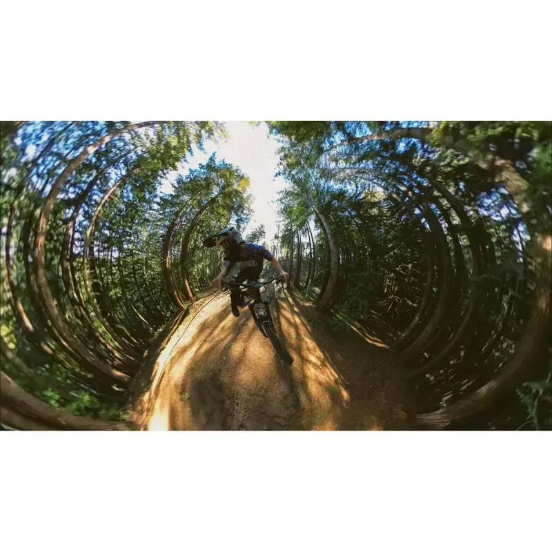 Extend Pole GoPro Boom AEXTM-001