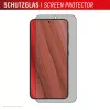 Displex Displayschutzfolie (10H) für Samsung Galaxy S24/S25, Eco Montagerahmen, Sichtschutzfilter