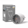 Smart-Steckdose Sonoff S60 16A mit WLAN, Fernsteuerung und Energieüberwachung