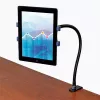 StarTech.com Schwanenhals-Tablet-Halterung – biegsamer Tablet-Arm, Tablet/UMPC, Aktive Halterung, Innenbereich, Schwarz