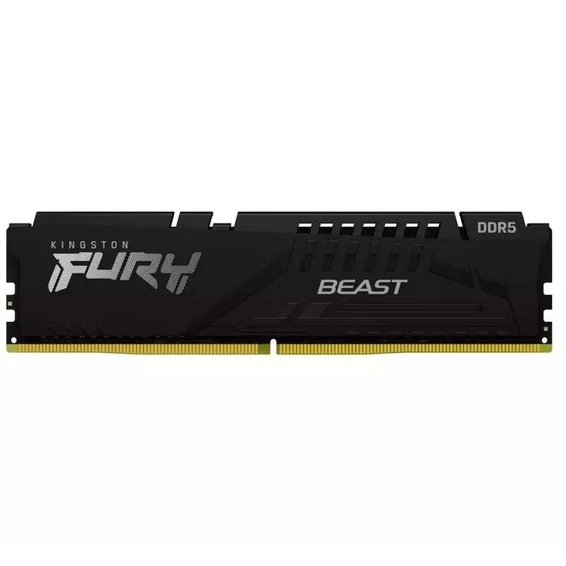 Kingston Technology FURY Beast 8 GB 5600 MT/s DDR5 CL36 DIMM Schwarz