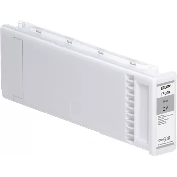 Epson Einzelpackung Grau T800900 UltraChrome PRO 700 ml