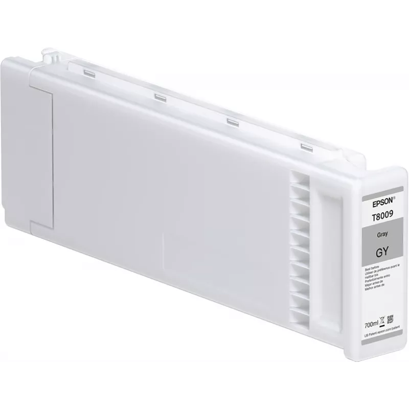 Epson Einzelpackung Grau T800900 UltraChrome PRO 700 ml