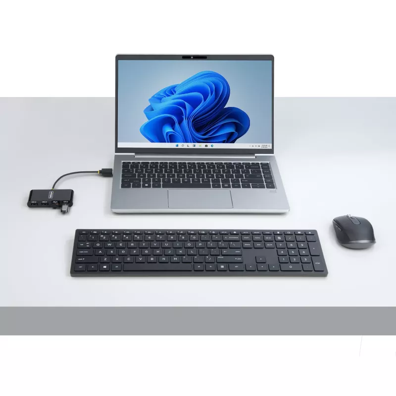 StarTech.com ST4200MINI2-USB-HUB Schnittstellen-Hub USB 2.0 480 Mbit/s Schwarz
