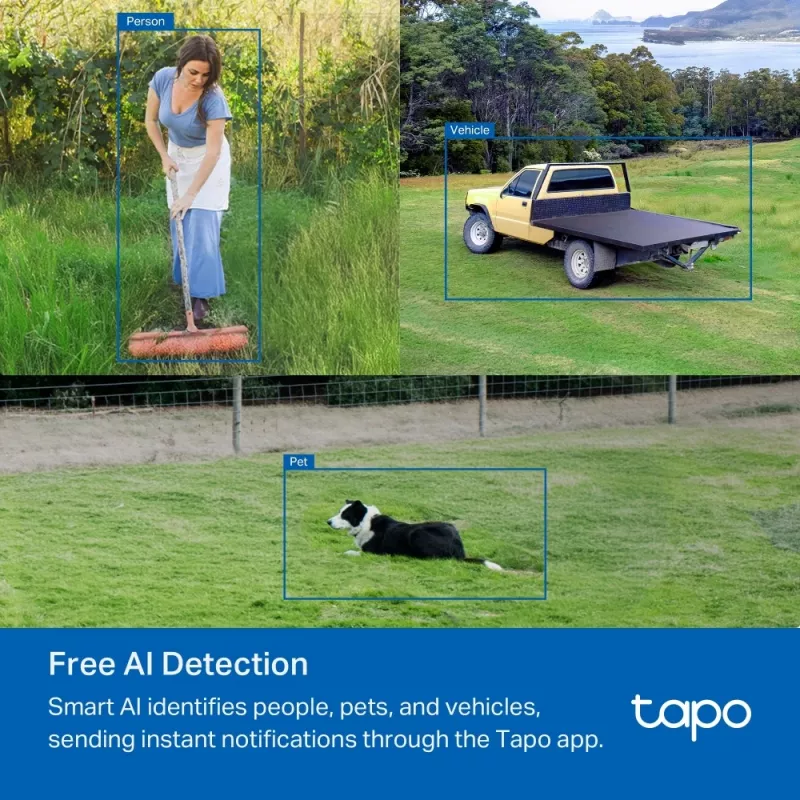 IP-Überwachungskamera TP-Link TAPO C501GW 1920 x 1080 Pixel