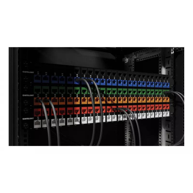 Intellinet 791298 Keystone-Modul