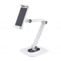 StarTech.com Verstellbarer Tablet-Ständer für Schreibtisch – wandmontierbar – Kapazität 1 kg – Ergonomisch gelenkiger Universal-Tablet-Ständer – Tablet-Halterung für Schreibtisch schwenkbar/drehbar/rotierbar