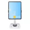 StarTech.com Verstellbarer Tablet-Ständer für Schreibtisch – wandmontierbar – Kapazität 1 kg – Ergonomisch gelenkiger Universal-Tablet-Ständer – Tablet-Halterung für Schreibtisch schwenkbar/drehbar/rotierbar
