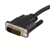 StarTech.com 3m DisplayPort-auf-DVI-Kabel - DisplayPort-auf-DVI-Adapterkabel 1080p-Video - DisplayPort-auf-DVI-D-Kabel Single Link - DP-auf-DVI-Monitorkabel - DP-1.2-auf-DVI-Konverter