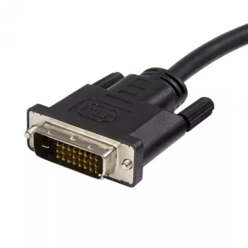 StarTech.com 3m DisplayPort-auf-DVI-Kabel - DisplayPort-auf-DVI-Adapterkabel 1080p-Video - DisplayPort-auf-DVI-D-Kabel Single Link - DP-auf-DVI-Monitorkabel - DP-1.2-auf-DVI-Konverter