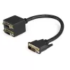 StarTech.com 30cm (1 ft) DVI-D zu 2x DVI-D Digital Video Splitter-Kabel - M/F~1 ft DVI-D zu 2x DVI-D Digital Video Splitter-Kabel - M/F