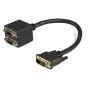 StarTech.com 30cm (1 ft) DVI-D zu 2x DVI-D Digital Video Splitter-Kabel - M/F~1 ft DVI-D zu 2x DVI-D Digital Video Splitter-Kabel - M/F