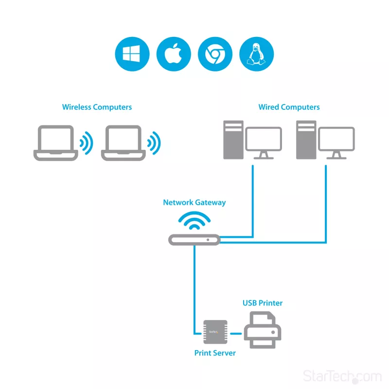 StarTech.com 10/100Mbps Ethernet-auf-USB-2.0-Netzwerk-LPR-Druckserver