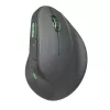 Maus SPEEDLINK SL-630026-BK RF Wireless Optical
