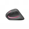 Maus SPEEDLINK SL-630026-BK RF Wireless Optical