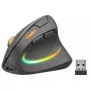 Maus SPEEDLINK SL-630026-BK RF Wireless Optical