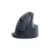 R-Go Tools Vertikale Maus R-Go HE Basic, ergonomische Maus, mittelgroß (Handgröße ≥ 185 mm), rechtshändig, Bluetooth, grau