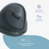 R-Go Tools Vertikale Maus R-Go HE Basic, ergonomische Maus, mittelgroß (Handgröße ≥ 185 mm), rechtshändig, Bluetooth, grau