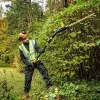 Teleskop-Heckenschneider DeWALT DCMPH566N-XJ