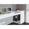 Techly ICA-CS 62 CPU-Halterung, unter dem Schreibtisch montierbarer Computerhalter, Schwarz