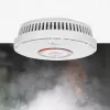Luftproben-Melder Nedis DTCTCS10WT Weiß batteriebetrieben