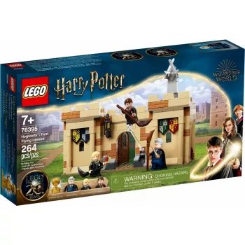 LEGO Harry Potter Set Hogwarts Erste Flugstunde 76395 mit Harry und Draco Minifiguren