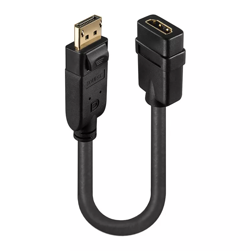 Lindy DisplayPort 1.2 zu HDMI 1.3 Konverter
