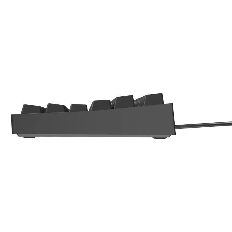 GENESIS Thor 404 TKL Tastatur Gaming USB QWERTY US International Schwarz