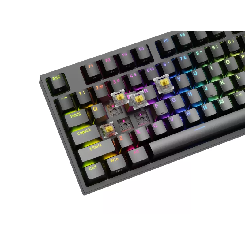GENESIS Thor 404 TKL Tastatur Gaming USB QWERTY US International Schwarz