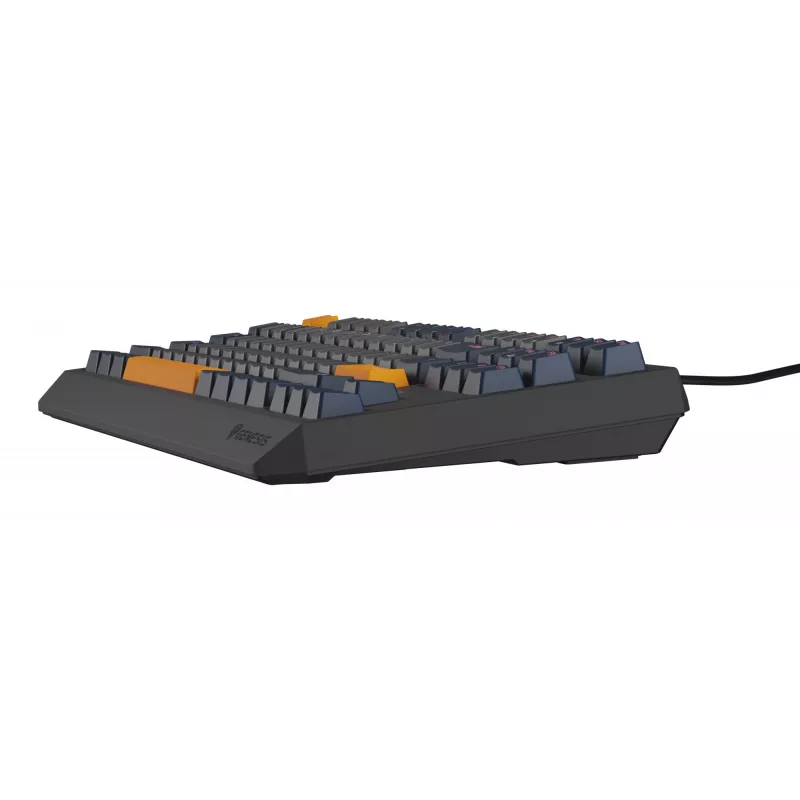 GENESIS Thor 230 TKL Tastatur Gaming USB QWERTY Englisch Blau