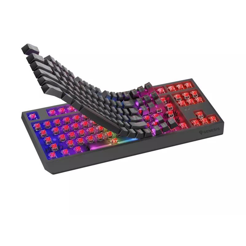 Mechanische Tenkeyless Gaming-Tastatur GENESIS Thor 230 TKL — USB, RF Wireless, Bluetooth, 87-Tasten QWERTY, Grau
