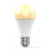 Smarte Glühbirne WOOX R9074