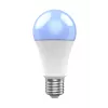 Smarte Glühbirne WOOX R9074