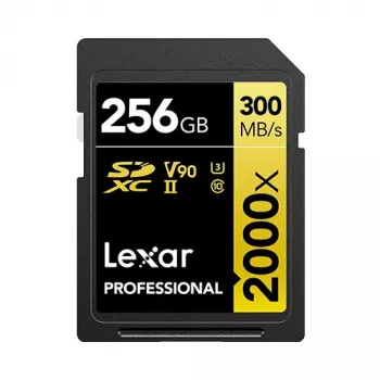 Speicherkarte Lexar 256 GB SDXC Class 10 LSD2000256G-BNNNG