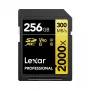 Speicherkarte Lexar 256 GB SDXC Class 10 LSD2000256G-BNNNG