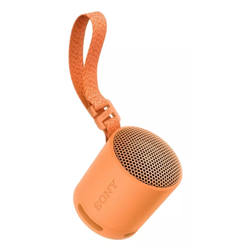 Sony SRS-XB100 - Tragbarer drahtloser Bluetooth-Lautsprecher, robust IP67 wasser- und staubdicht, 16 Stunden Akku, Eco, Outdoor und Reise in Orange