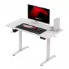 Gaming-Tisch huzaro Hero 8.1 — weißer elektrisch höhenverstellbarer Tisch 120×60 cm, 720–1180 mm, 50 kg Belastbarkeit, Kabelmanagement