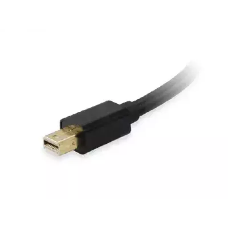 Mini DisplayPort auf DVI-D Dual Link Adapter Equip 133433