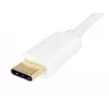 Equip USB Typ-C auf Audio-Adapter