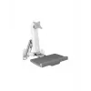 ICY BOX IB-MS600-W 61 cm (24 Zoll) Wandhalterung Grau, Silber, Weiß