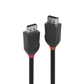 Lindy 1m DisplayPort 1.2 Kabel, Schwarz Line