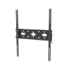 iiyama MD-WM6080 Monitorhalterung / Ständer Wand Schwarz