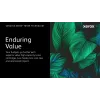 Xerox Original ® C410 Farbdrucker/VersaLink® C415 Farb-Multifunktionsdrucker Gelb Tonerkartusche mit hoher Reichweite (7000 Seiten) - 006R04688