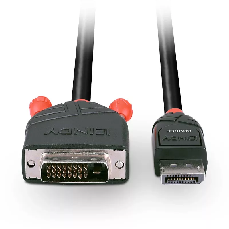 Lindy 2m DisplayPort auf DVI-D Kabel