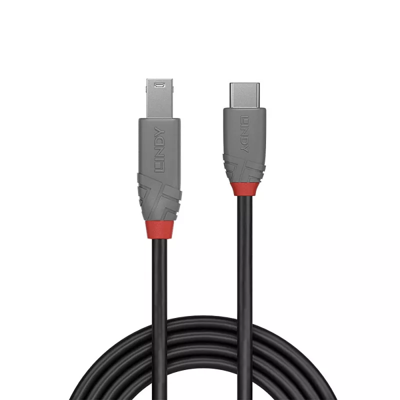 Lindy 3m USB 3.2 Typ C auf B Kabel, Anthra Line