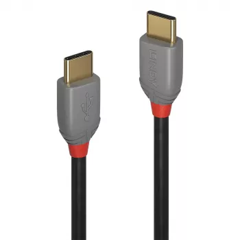 Lindy 2m USB 2.0 Typ C auf C Kabel, Anthra Line