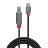 USB 2.0 Typ-C-auf-B-Kabel Lindy 36940 0,5 m Anthra Line
